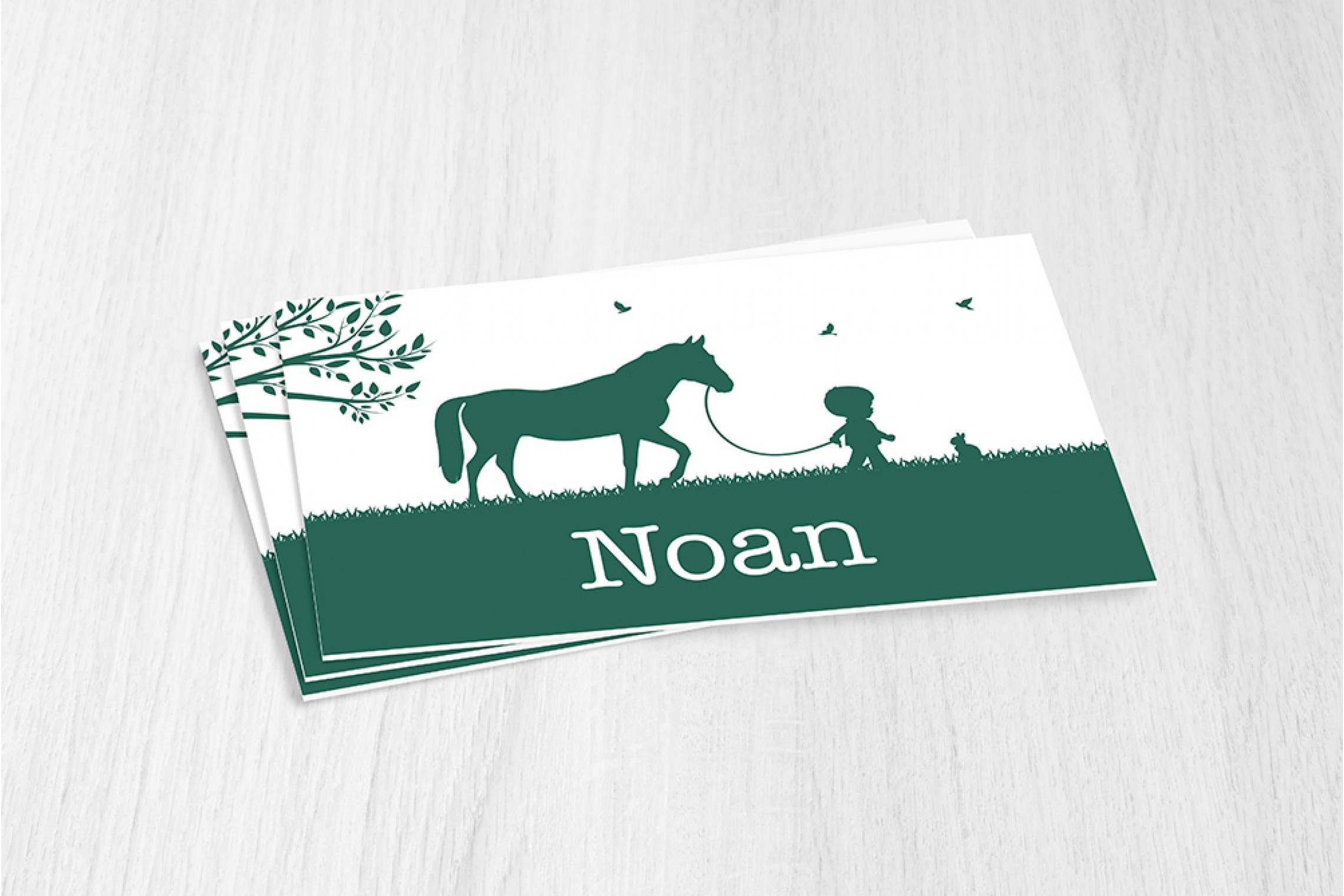 Jongen met paard